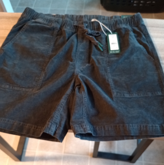 NWT Men's Large Alpine Design Dark Corduroy Shorts - Picture 3 of 4